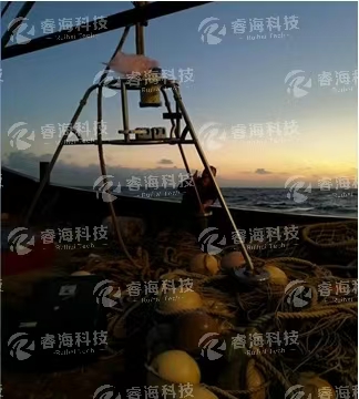 微信圖片_20250226093444 微信圖片_20250226093444